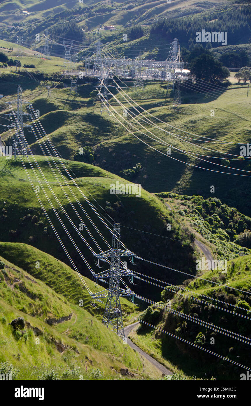 Trasmissione della potenza elettrica pilone, Belmont Parco Regionale, Wellington, Isola del nord, Nuova Zelanda Foto Stock