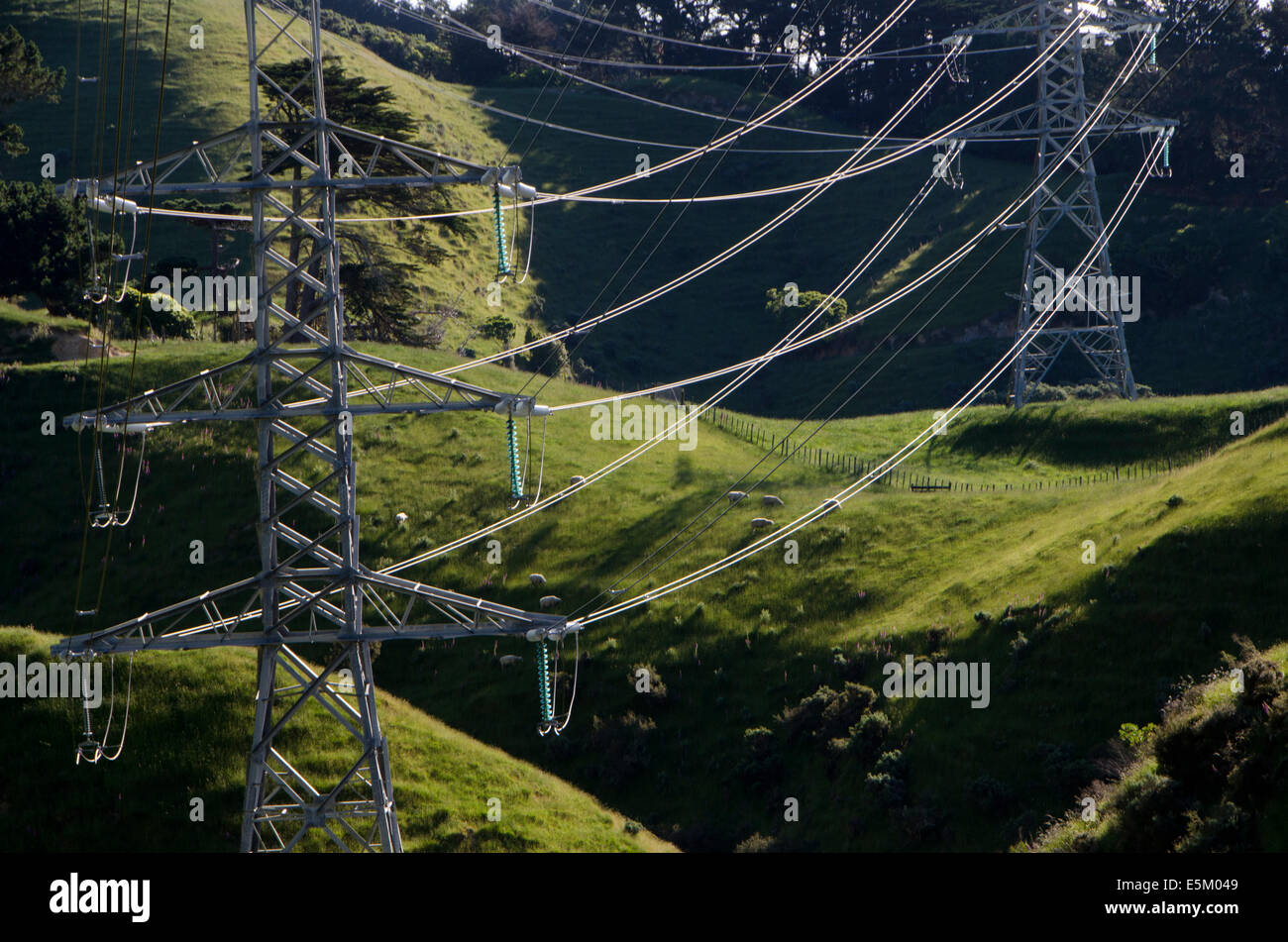 Trasmissione della potenza elettrica pilone, Belmont Parco Regionale, Wellington, Isola del nord, Nuova Zelanda Foto Stock