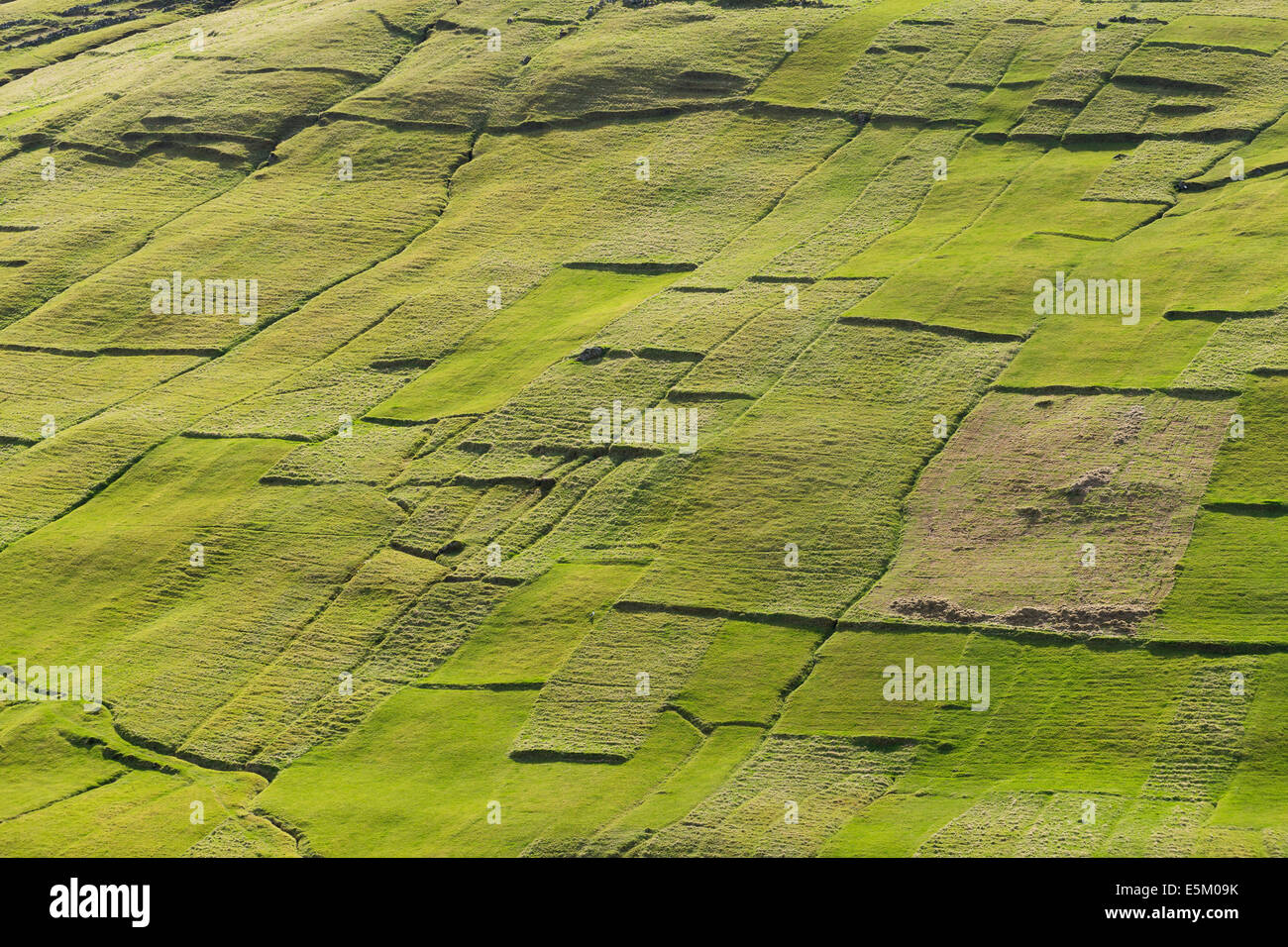Appezzamenti di terreno, campi patchwork, Kvívík, Streymoy, Isole Faerøer, Danimarca Foto Stock