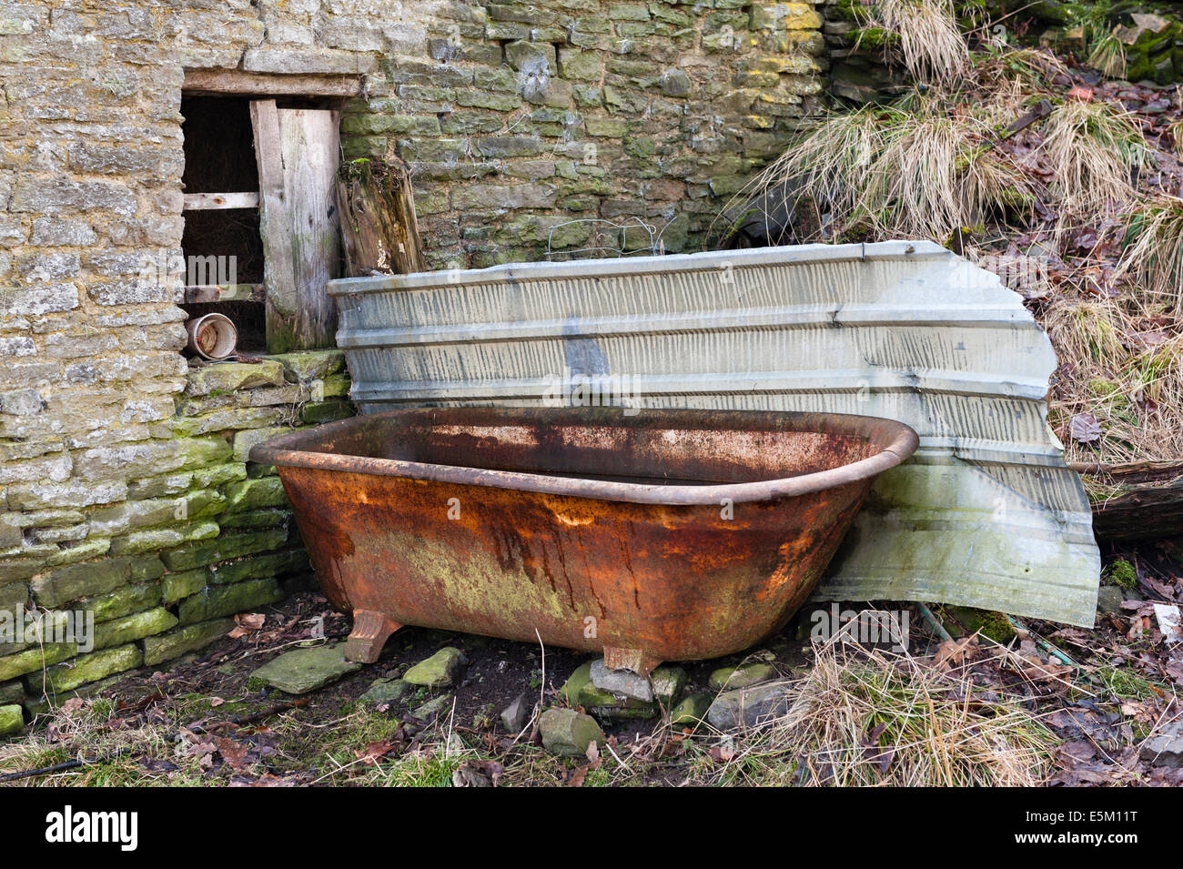 Vecchio bagno di ghisa usato come abbeveratoio in una fattoria abbandonata di collina gallese, Regno Unito Foto Stock