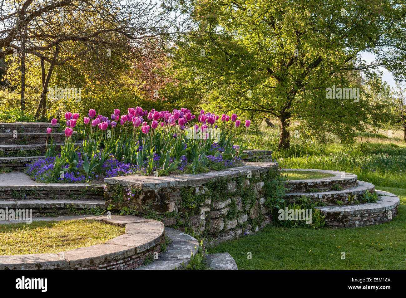 Great Dixter, East Sussex, UK, il famoso giardino creato da Christopher Lloyd. La terrazza si scalda in primavera Foto Stock