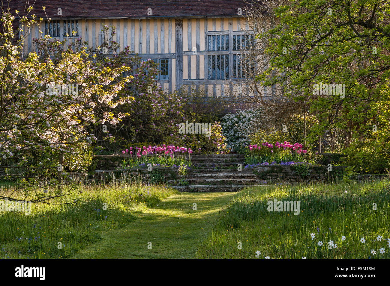 Great Dixter, East Sussex, UK, il famoso giardino creato da Christopher Lloyd. La terrazza vista dal frutteto in primavera Foto Stock