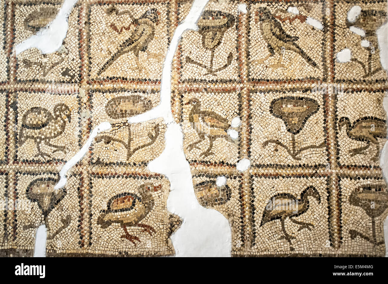 Mosaico di uccelli un piante, quinto sec. A.C., Hatay Museo di Archeologia, Antiochia, provincia di Hatay, sud-ovest della Turchia Foto Stock