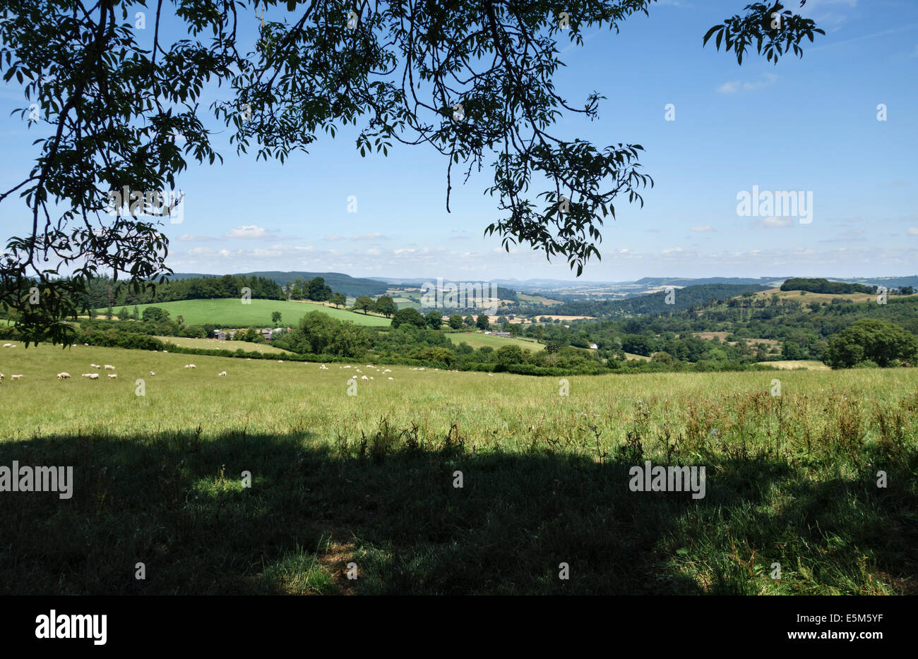 Una vista del paesaggio dello Shropshire in estate, visto da vicino a Stonewall Hill al confine di Wesh, Regno Unito Foto Stock