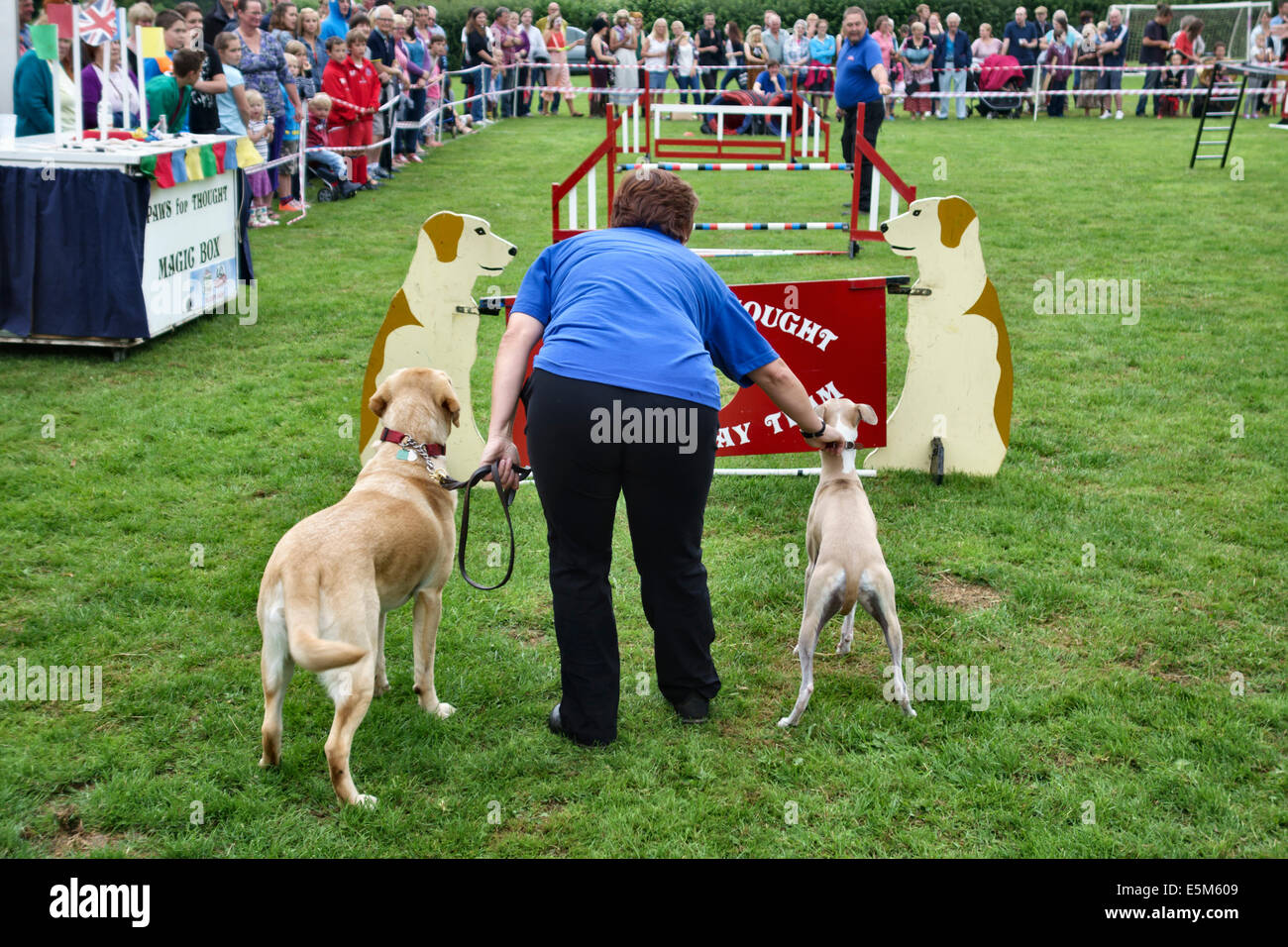 La base di Hereford zampe di pensiero display dog team in un villaggio di fete, REGNO UNITO Foto Stock