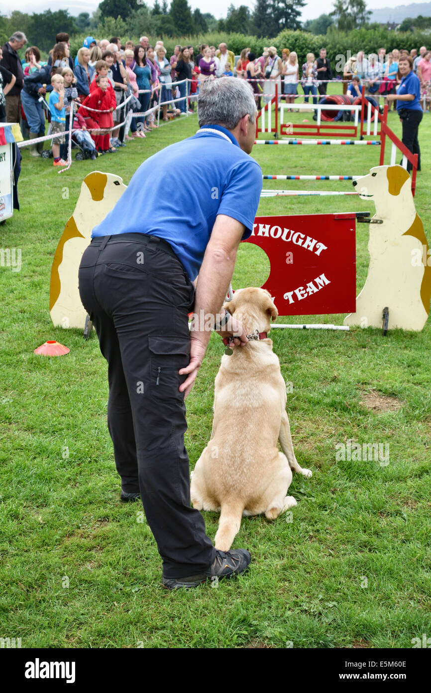 La base di Hereford zampe di pensiero display dog team in un villaggio di fete, REGNO UNITO Foto Stock