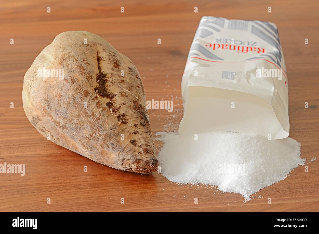 La barbabietola da zucchero e di zucchero bianco (Beta vulgaris ssp. vulgaris var. altissima) Foto Stock