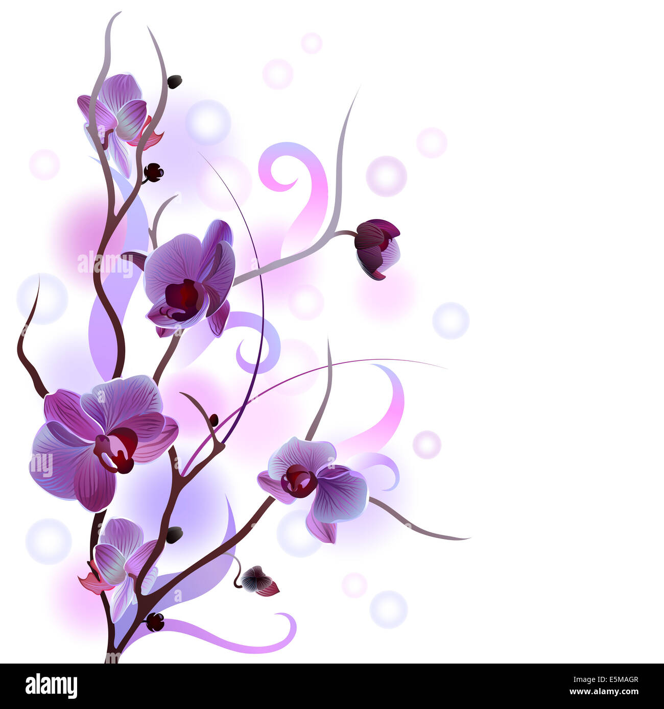 Bianco quadrato biglietto di auguri con viola delicato brunch di orchidee Foto Stock