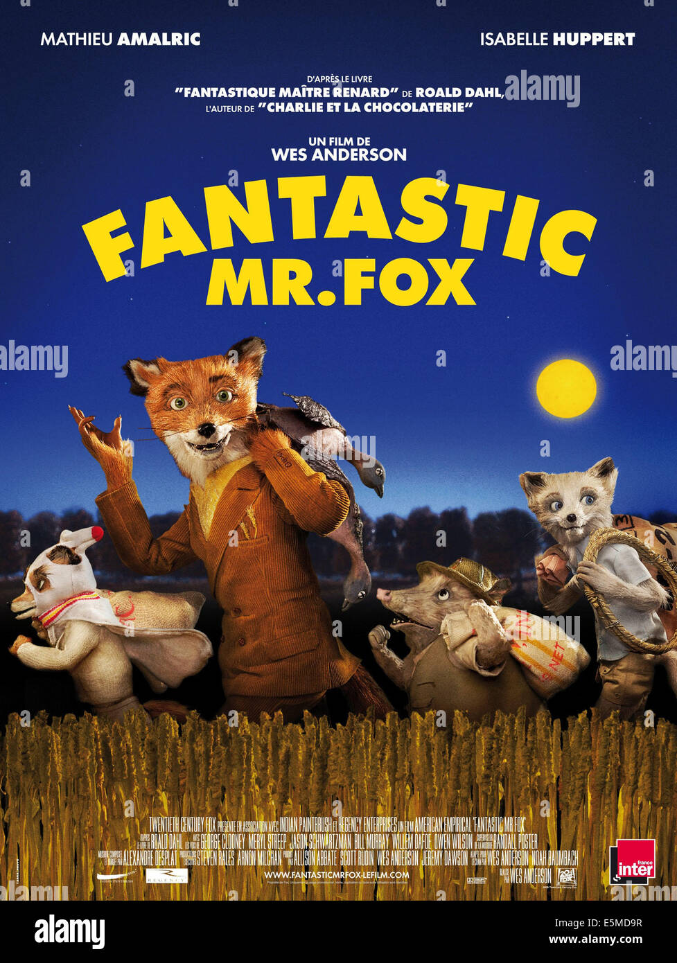 Fantastico il sig. FOX, da sinistra: cenere (voice: Jason Schwartzman), il sig. Fox (voice: George Clooney), Kylie (voice: Wallace Foto Stock