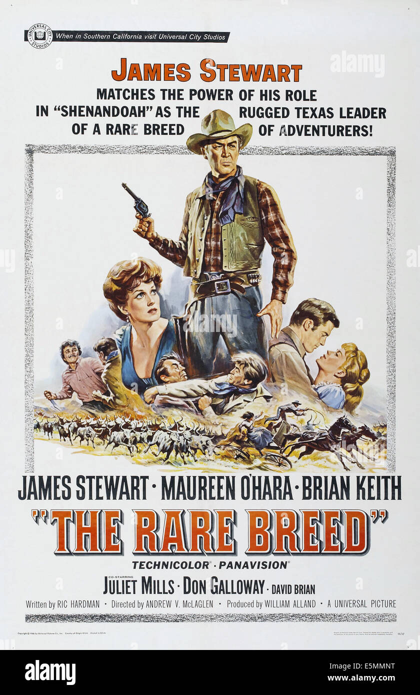 La razza rara, noi poster, da sinistra: Maureen O'Hara, James Stewart, Brian Keith, Juliet Mills, 1966 Foto Stock