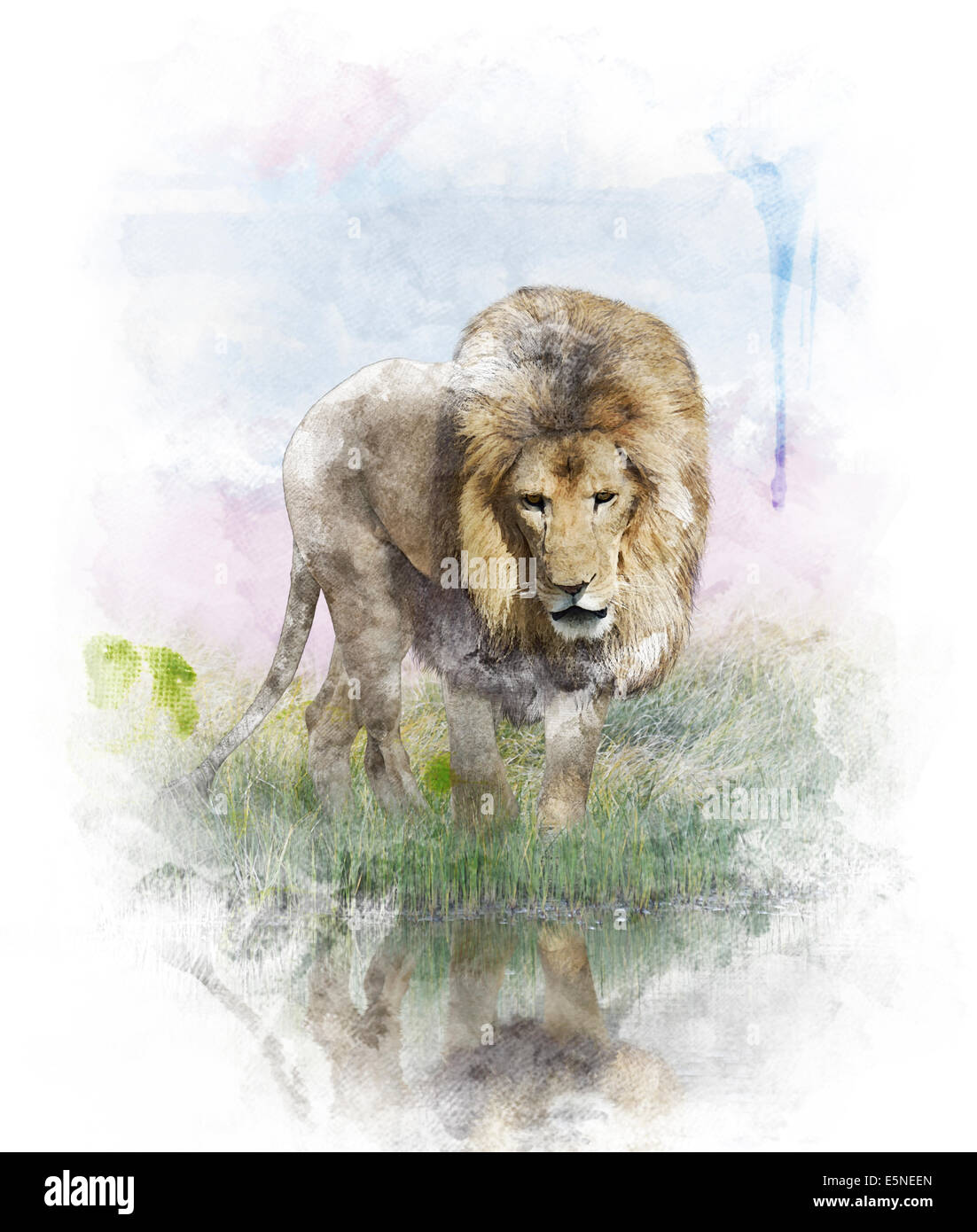 Acquerello la pittura digitale di Lion vicino stagno Foto Stock