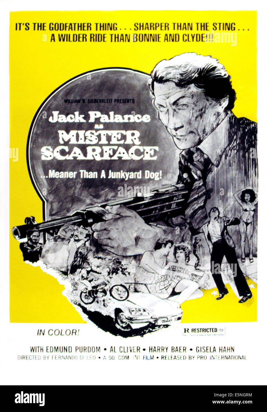MISTER SCARFACE, Jack Palance, 1976 Foto Stock