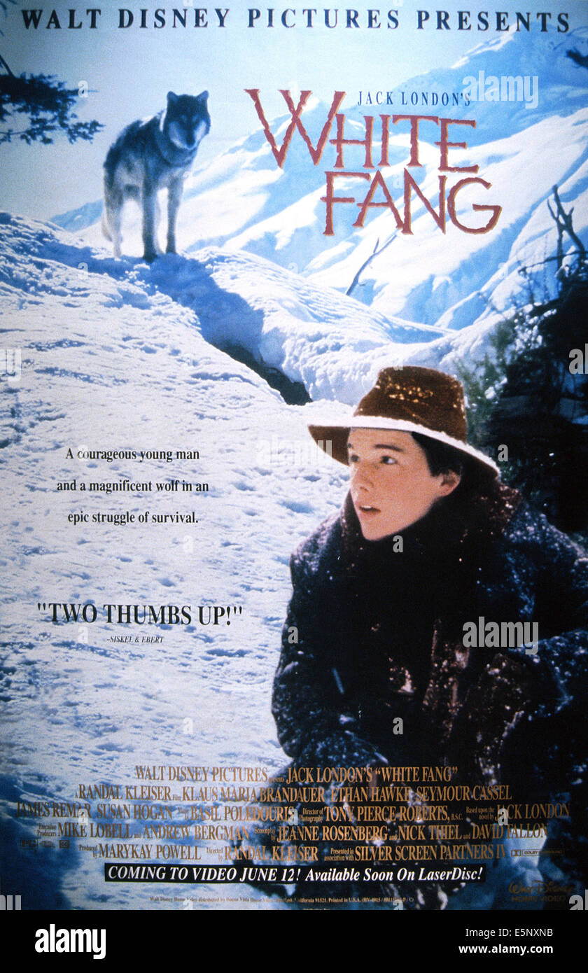 WHITE FANG, noi poster, Ethan Hawke, 1991, © Buena Vista/cortesia Everett Collection Foto Stock