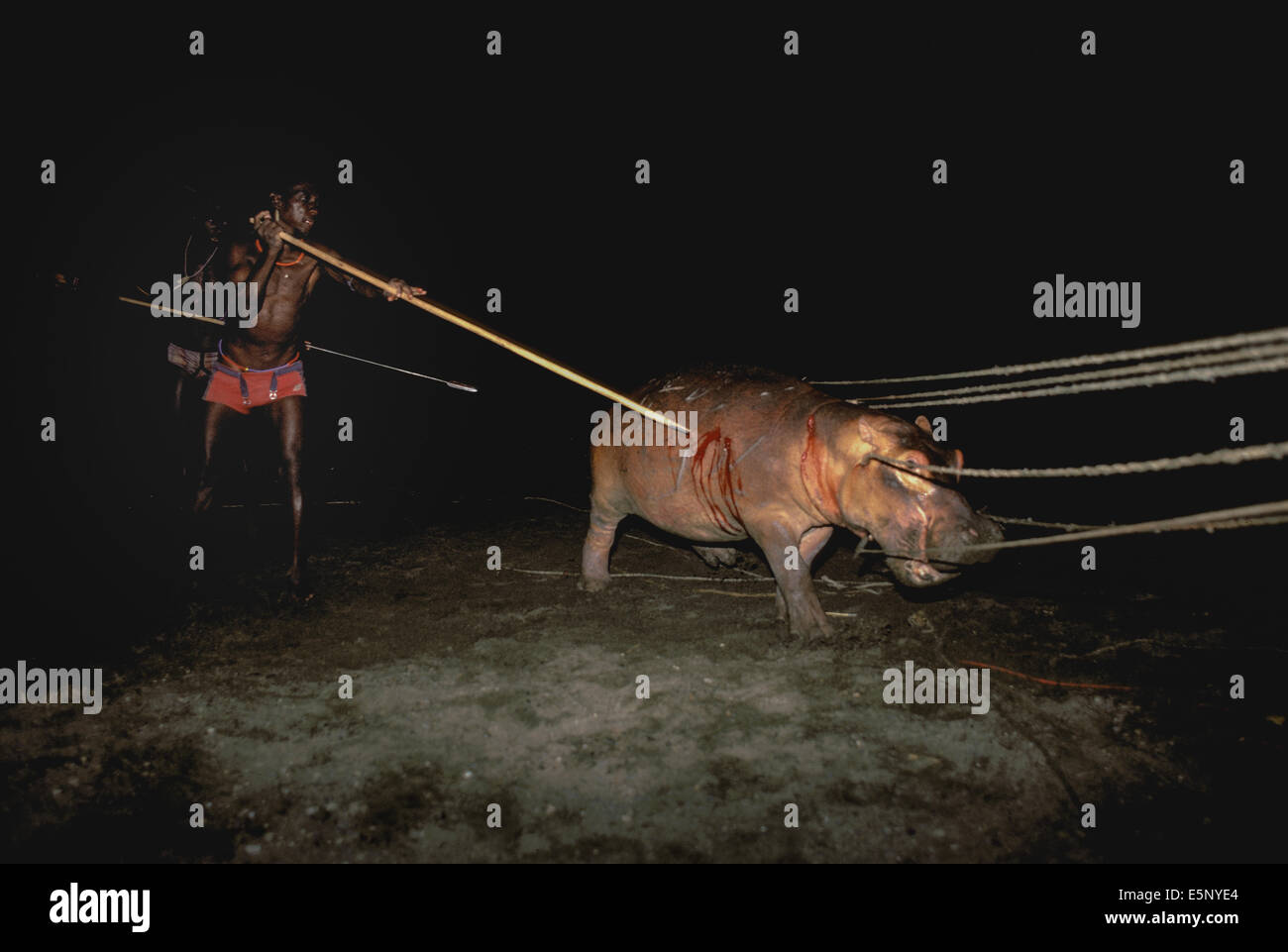 El Molo Warriors/cacciatori caccia ippopotamo a Ippona Hunt utilizzando pole lance e funi, El Molo tribù il lago Turkana - Kenya. Foto Stock