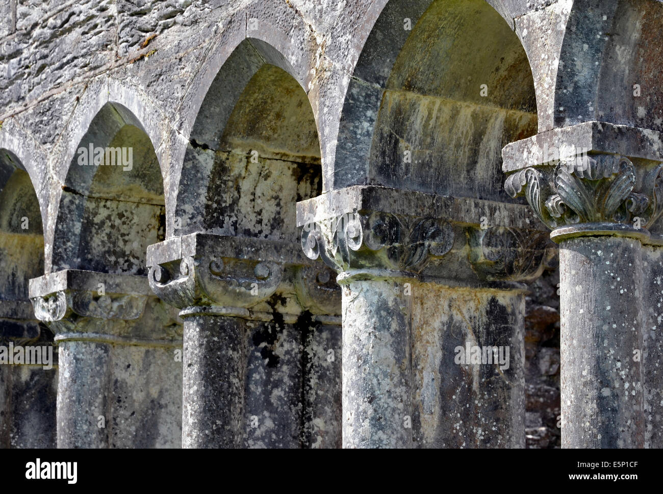 Le caratteristiche architettoniche delle rovine della abbazia di Cong, Cong, County Mayo, Irlanda un ex Abbazia Agostiniana del XIII secolo. Foto Stock