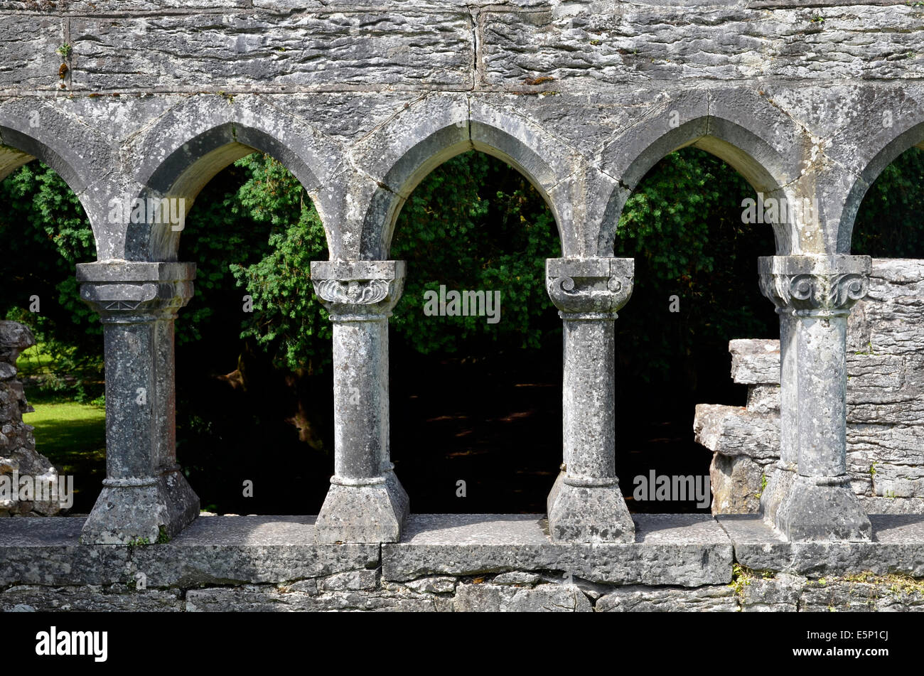 Le caratteristiche architettoniche delle rovine della abbazia di Cong, Cong, County Mayo, Irlanda un ex Abbazia Agostiniana del XIII secolo Foto Stock