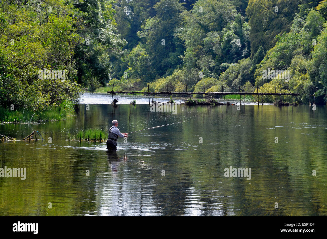 Ail Casa di pesca è t in piedi nel fiume Cong, Cong, County Mayo, Irlanda gettò la sua linea in un tentativo di cattura della trota marrone. Foto Stock