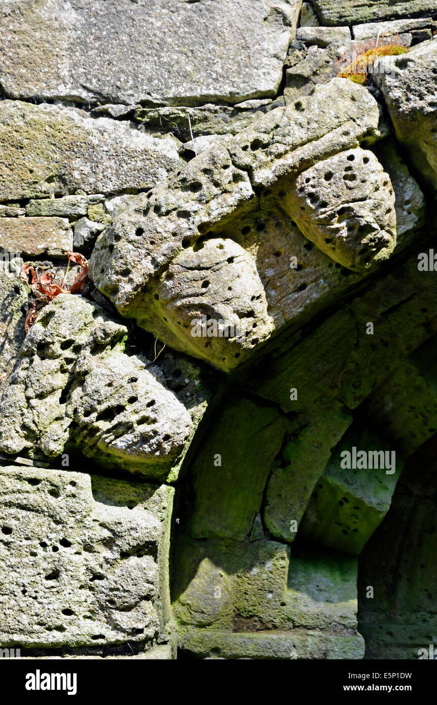 Dettaglio delle teste scolpite, duecentesca chiesa dei Santi rovine sulla isola di Inchagoill, Lough Corrib, Irlanda Foto Stock