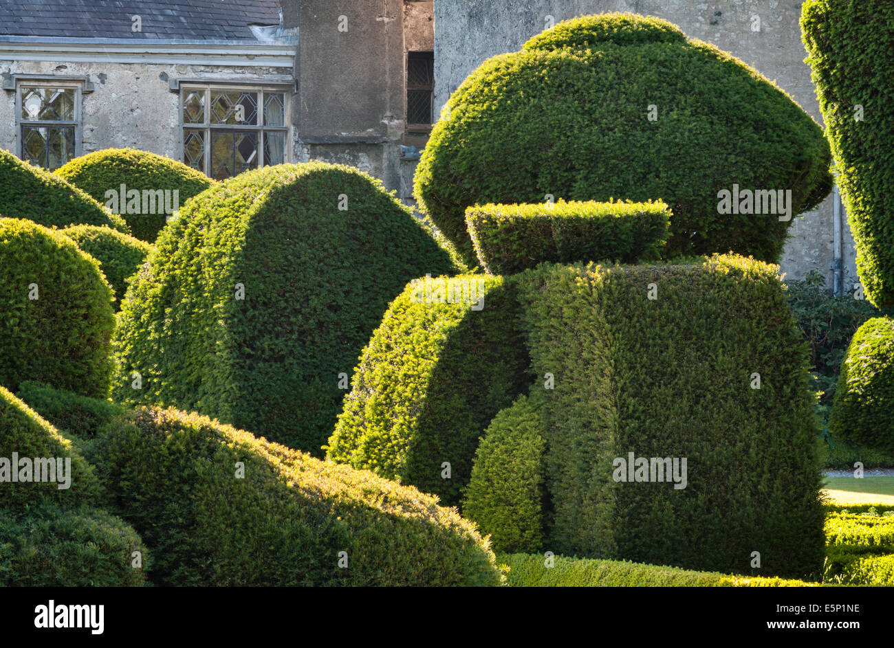 Levens Hall, Cumbria, Regno Unito. Un tardo 16c Manor House famosa per il suo eccentrico topiaria da giardino, di proprietà della famiglia Bagot Foto Stock