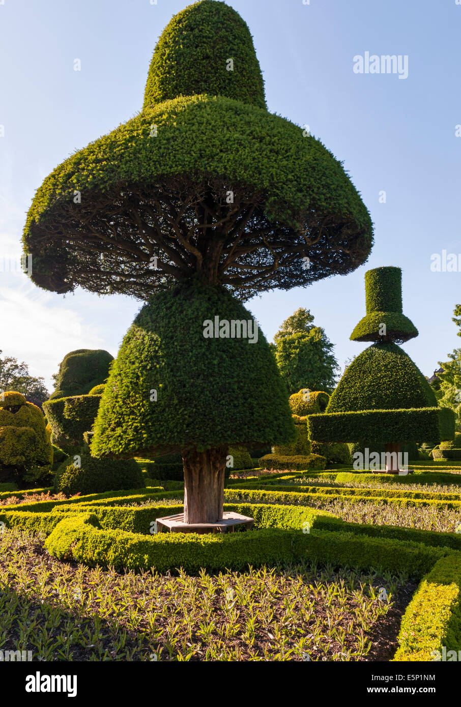 Levens Hall, Cumbria, Regno Unito. Un tardo 16c Manor House famosa per il suo eccentrico topiaria da giardino, di proprietà della famiglia Bagot Foto Stock