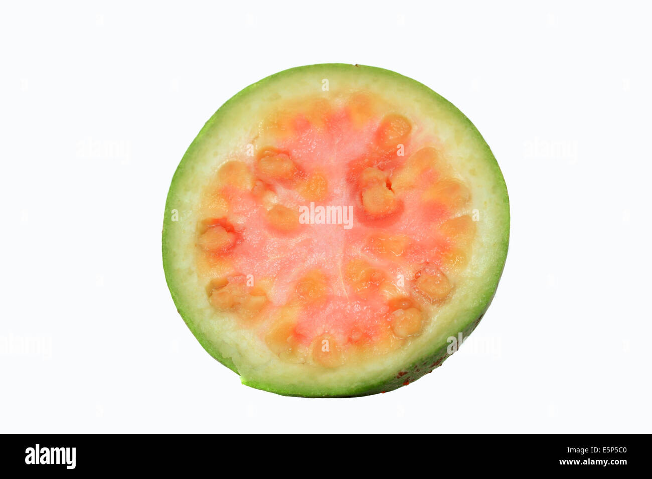 Guaiava comune o Apple guaiava (Psidium guaja), mezzo frutto Foto Stock