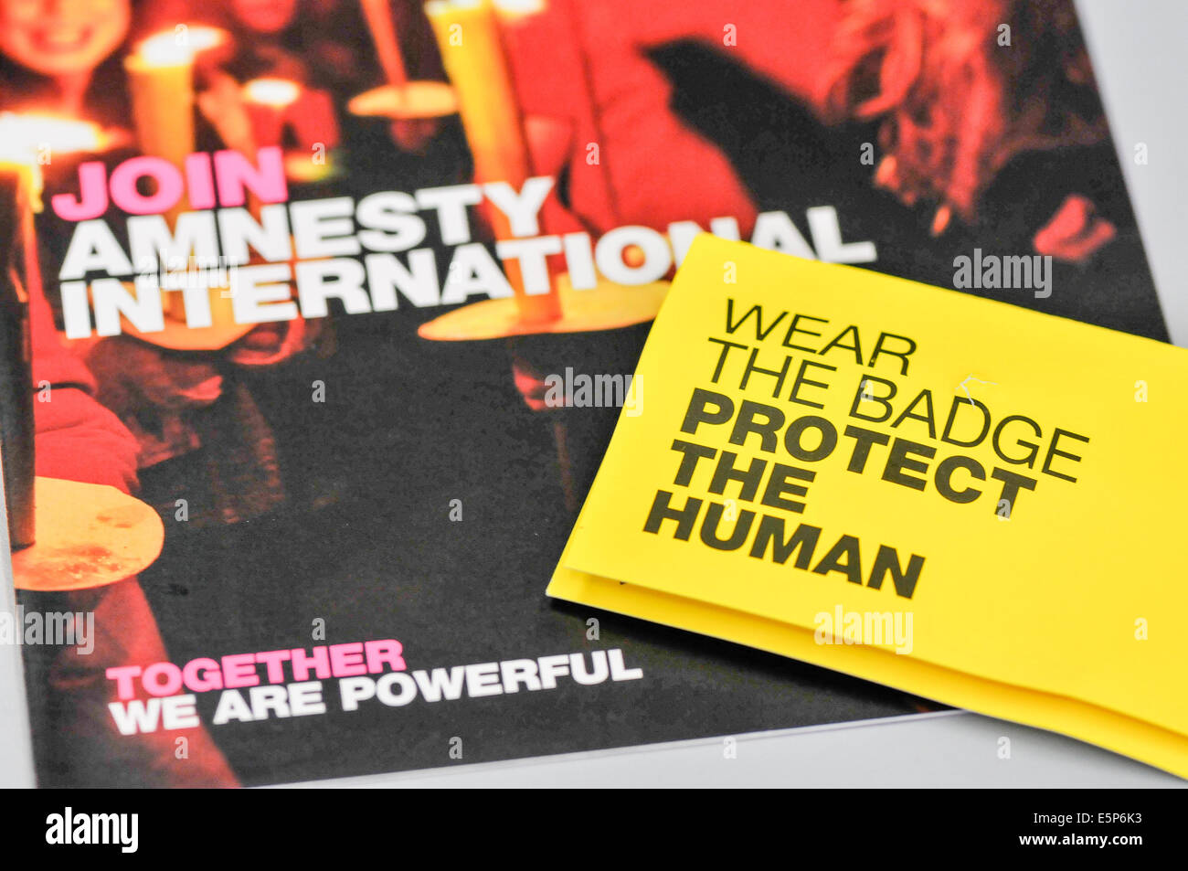 Belfast, Irlanda del Nord. Il 4° agosto 2014. Amnesty International letteratura Credit: stephen Barnes/Alamy Live News Foto Stock