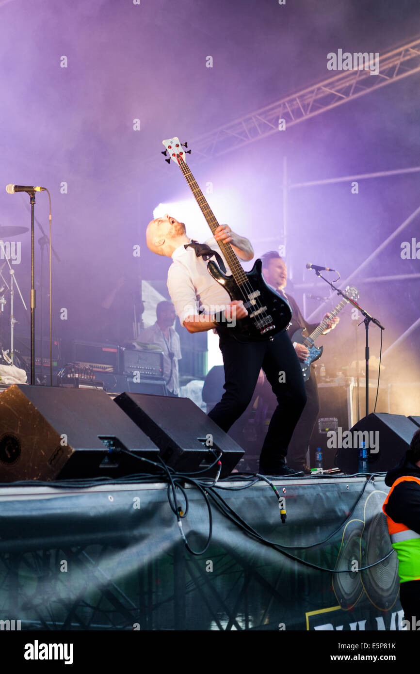 Michael McKeegan giocando con la terapia? In Dublino Foto Stock