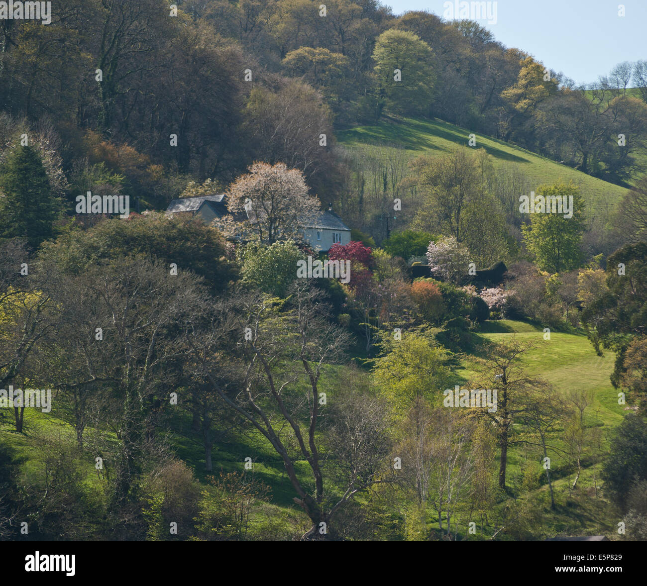 Vista delle rive del fiume Dart, Devon, Inghilterra Foto Stock