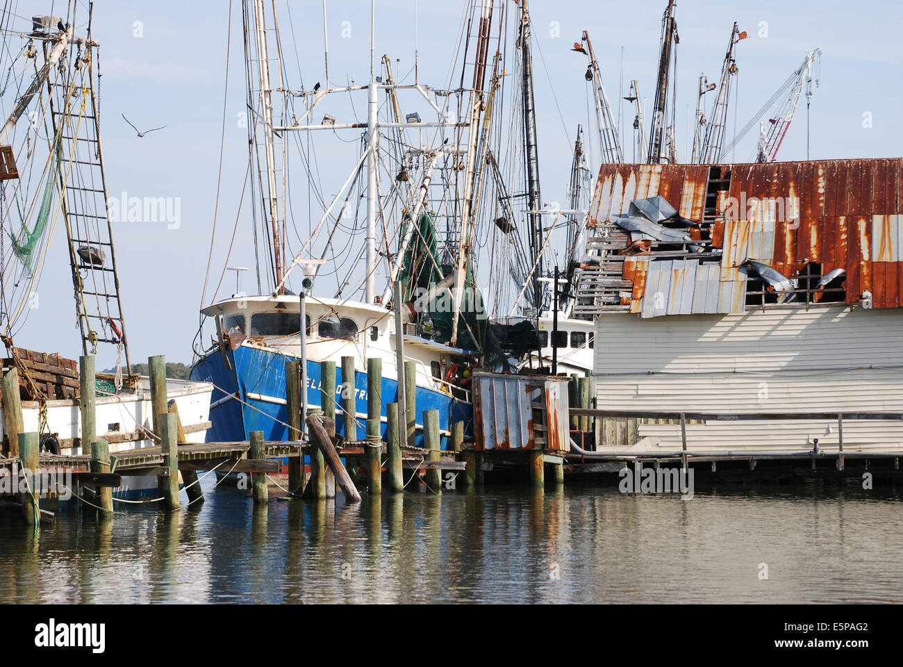 Pescherecci colorati sono allineati al molo di attesa per la prossima giornata di pesca. Foto Stock