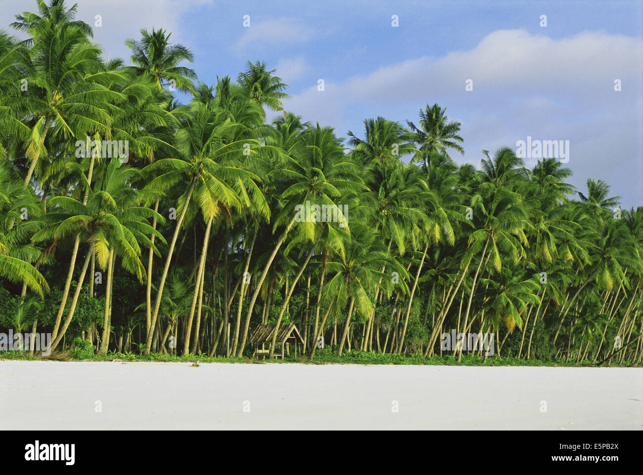 Spiaggia tropicale NELLE MOLUCCHE, INDONESIA Foto Stock