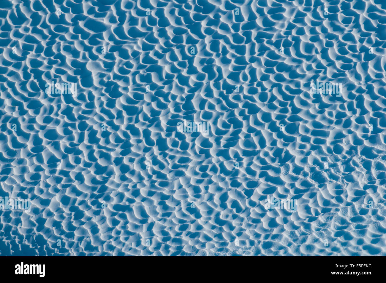 Close up il ghiaccio di un iceberg, Cierva Cove, Chavdar Penisola Antartica Foto Stock