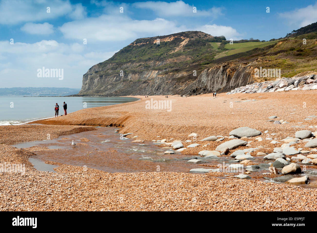 Regno Unito Inghilterra, Dorset, Seatown, Winniford sul fiume che scorre nel canale in inglese Foto Stock