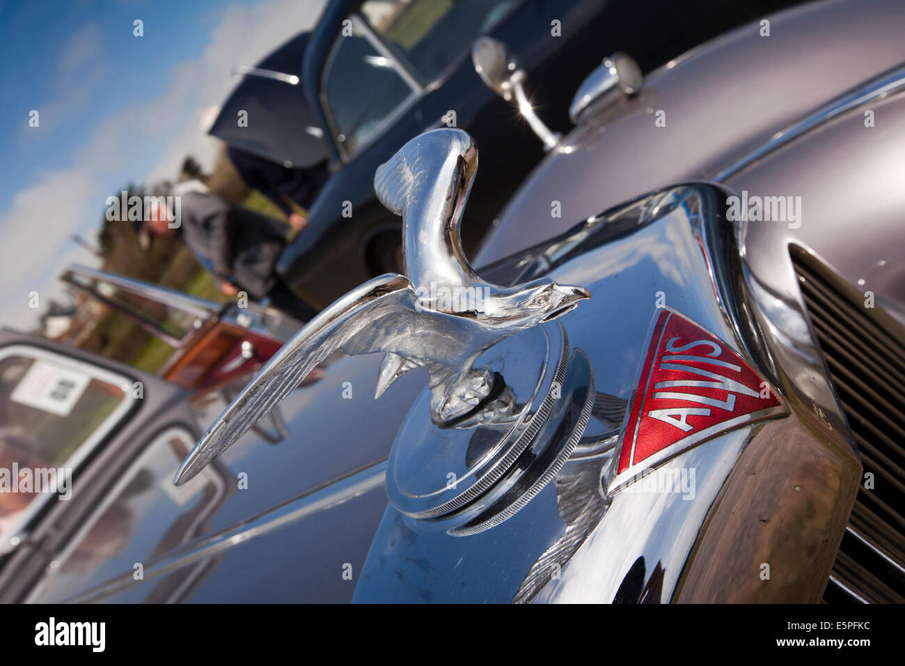 Regno Unito Inghilterra, Dorset, Charmouth, Classic Cars, mascotte aquila sulla parte anteriore del vintage Alvis Foto Stock