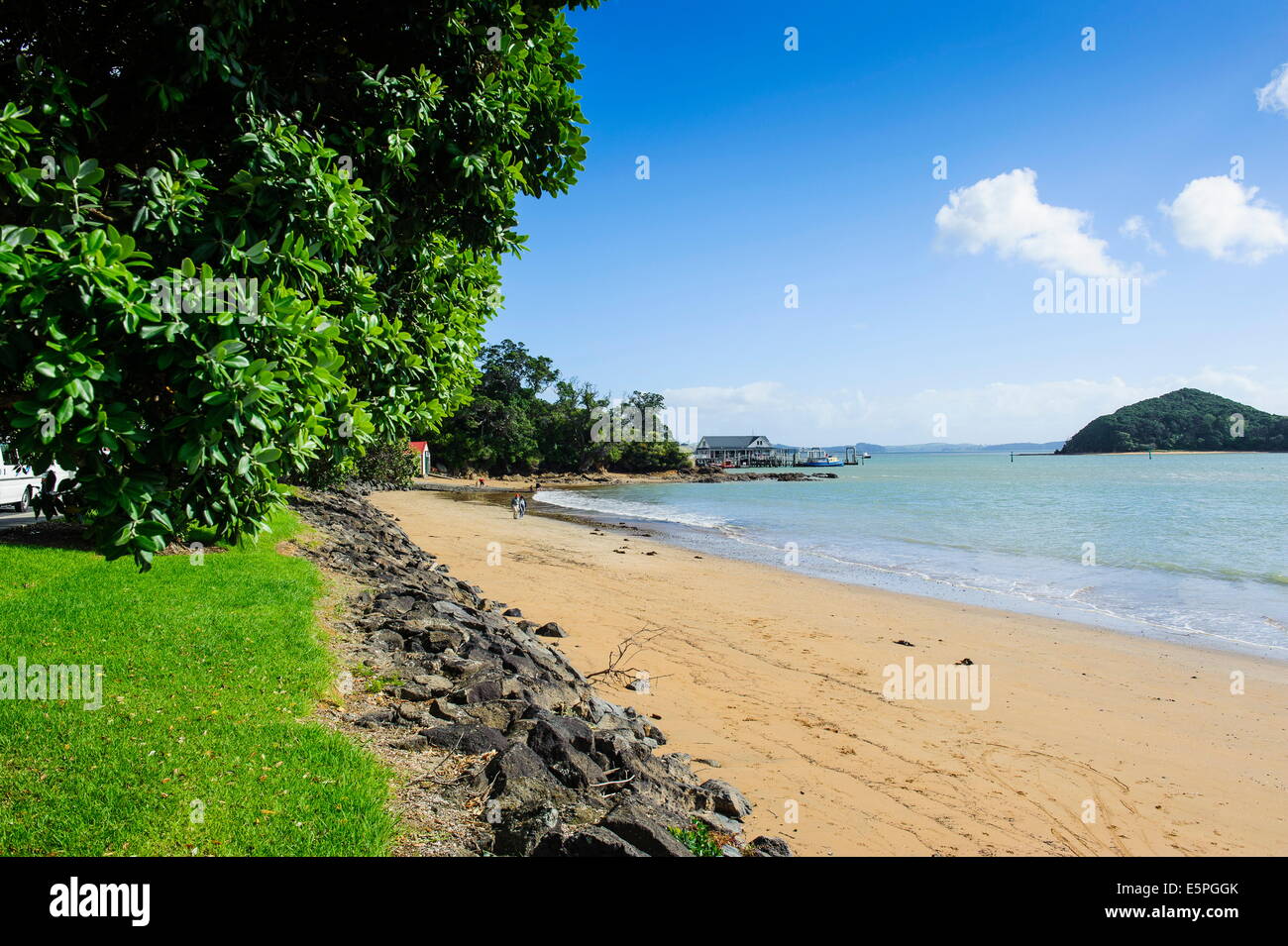 Paihia, Bay of Islands, Isola del nord, Nuova Zelanda, Pacific Foto Stock