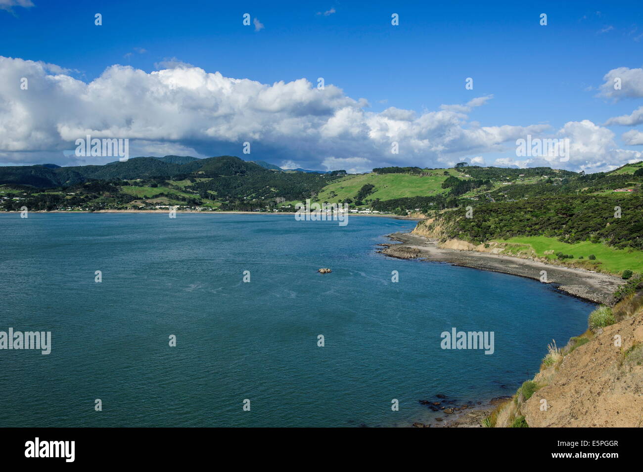 Vista del Arai-Te-Uru Riserva di ricreazione, estremità sud del porto di Hokianga, Northland e North Island, Nuova Zelanda, Pacific Foto Stock