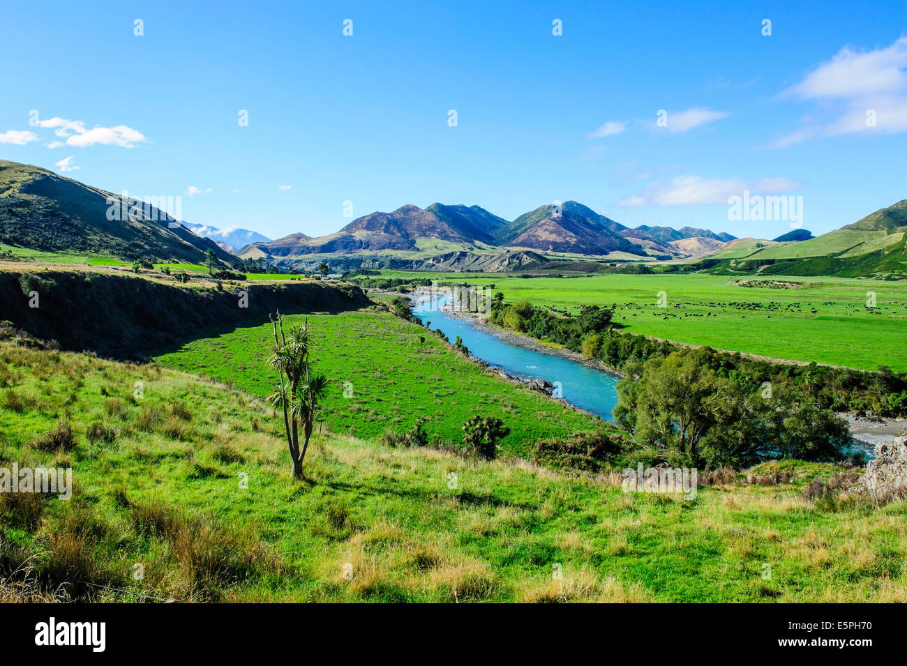 Grazioso paesaggio intorno al fiume di Lewis, South Island, in Nuova Zelanda, Pacific Foto Stock