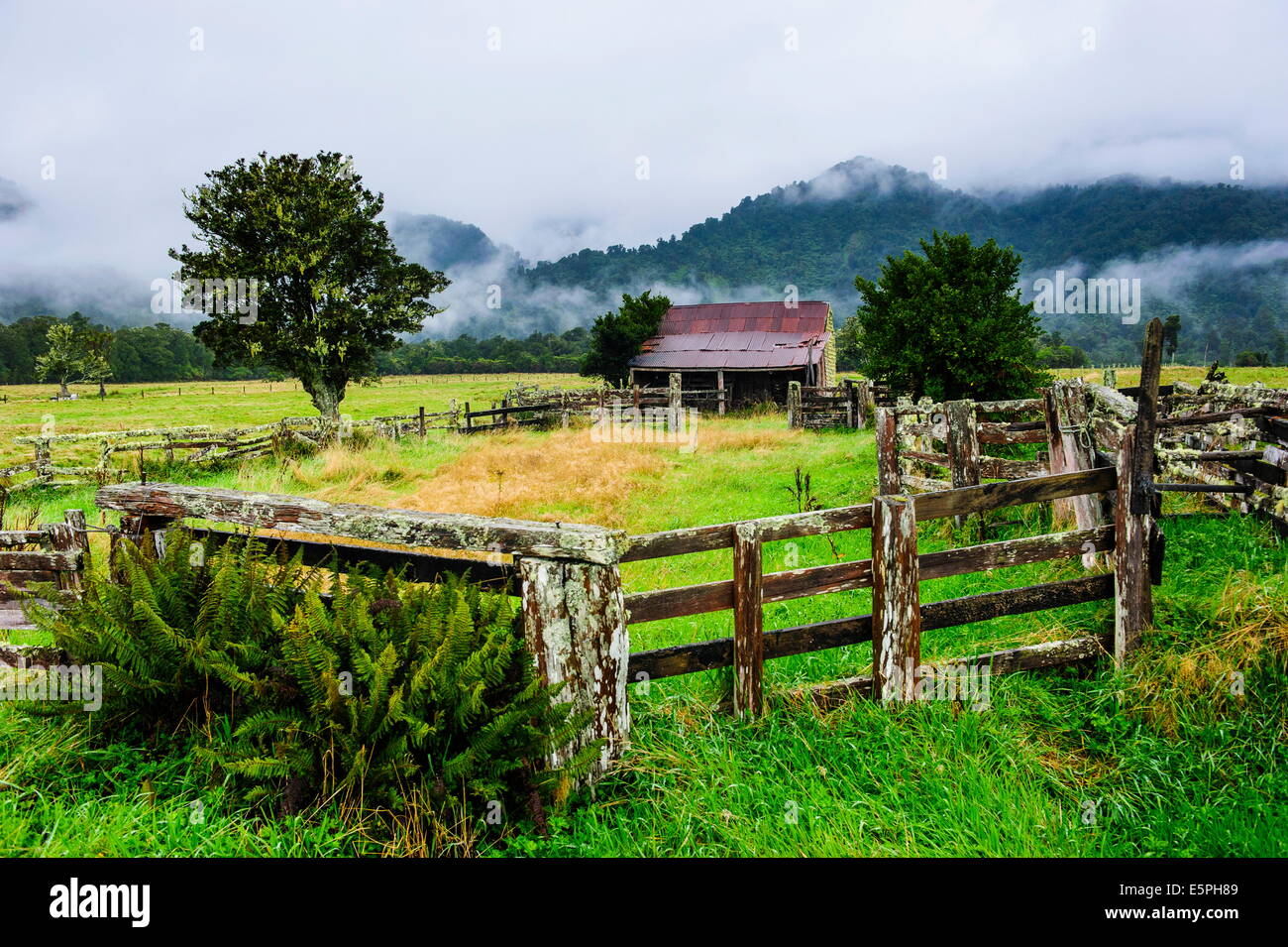 Vecchia fattoria in un atmosfera di moody, costa Ovest intorno Haast, South Island, in Nuova Zelanda, Pacific Foto Stock