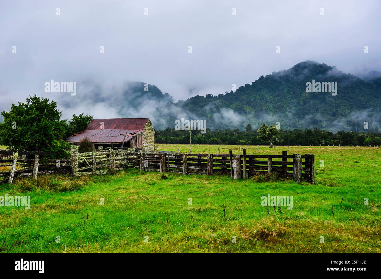 Vecchia fattoria in un atmosfera di moody, costa Ovest intorno Haast, South Island, in Nuova Zelanda, Pacific Foto Stock