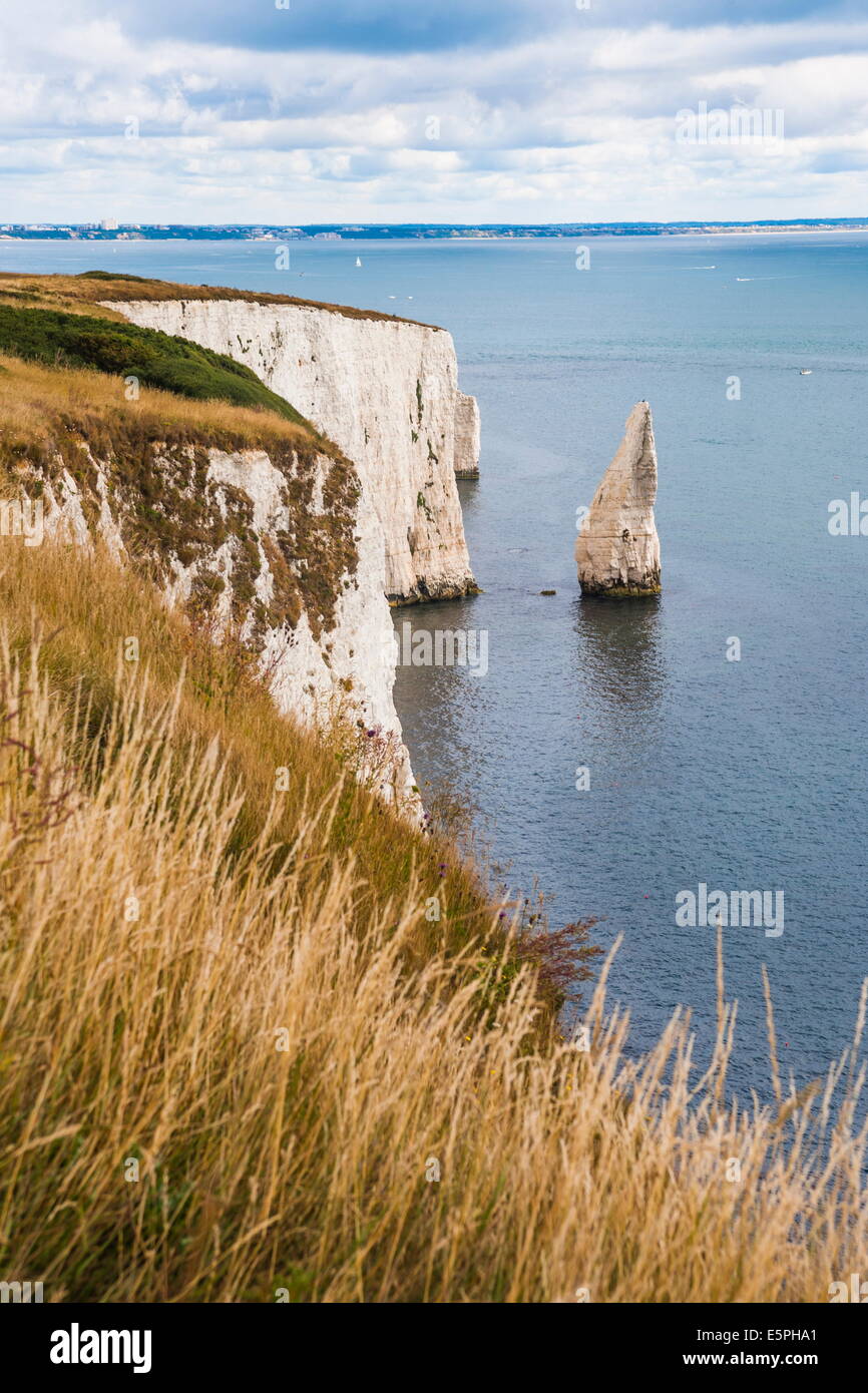 Chalk pile e le scogliere di Old Harry Rocks, tra Swanage e Purbeck, Dorset, Jurassic Coast, sito UNESCO, England, Regno Unito Foto Stock