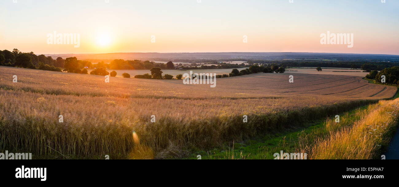 Tramonto su campi appena al di fuori di Guildford, Surrey, England, Regno Unito, Europa Foto Stock