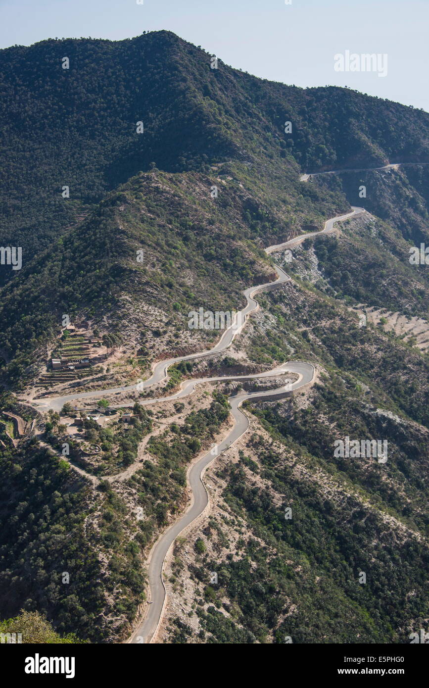Molto curva strada che conduce dalla highlands in Filfil, solo l'area della foresta pluviale in Eritrea, Africa Foto Stock