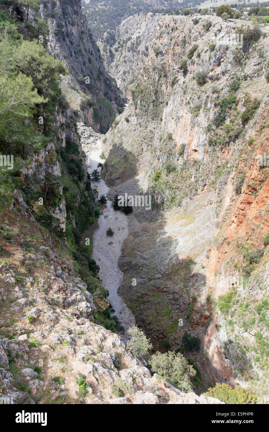 Aradena Gorge, Aradena, a sud di Creta, l'isola di Creta, Creta, Grecia Foto Stock
