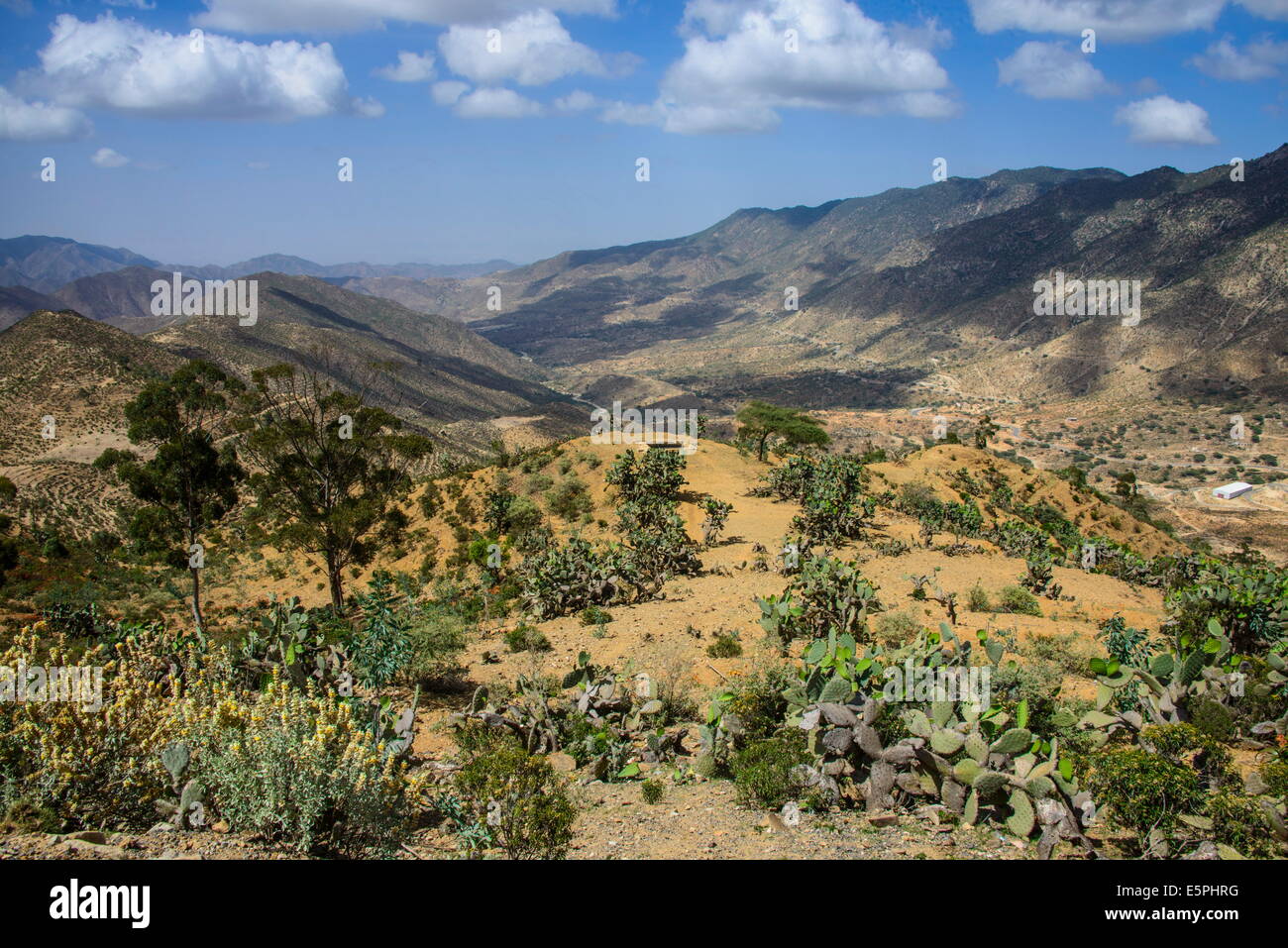 Paesaggio di montagna lungo la strada che da Massaua ad Asmara, Eritrea, Africa Foto Stock