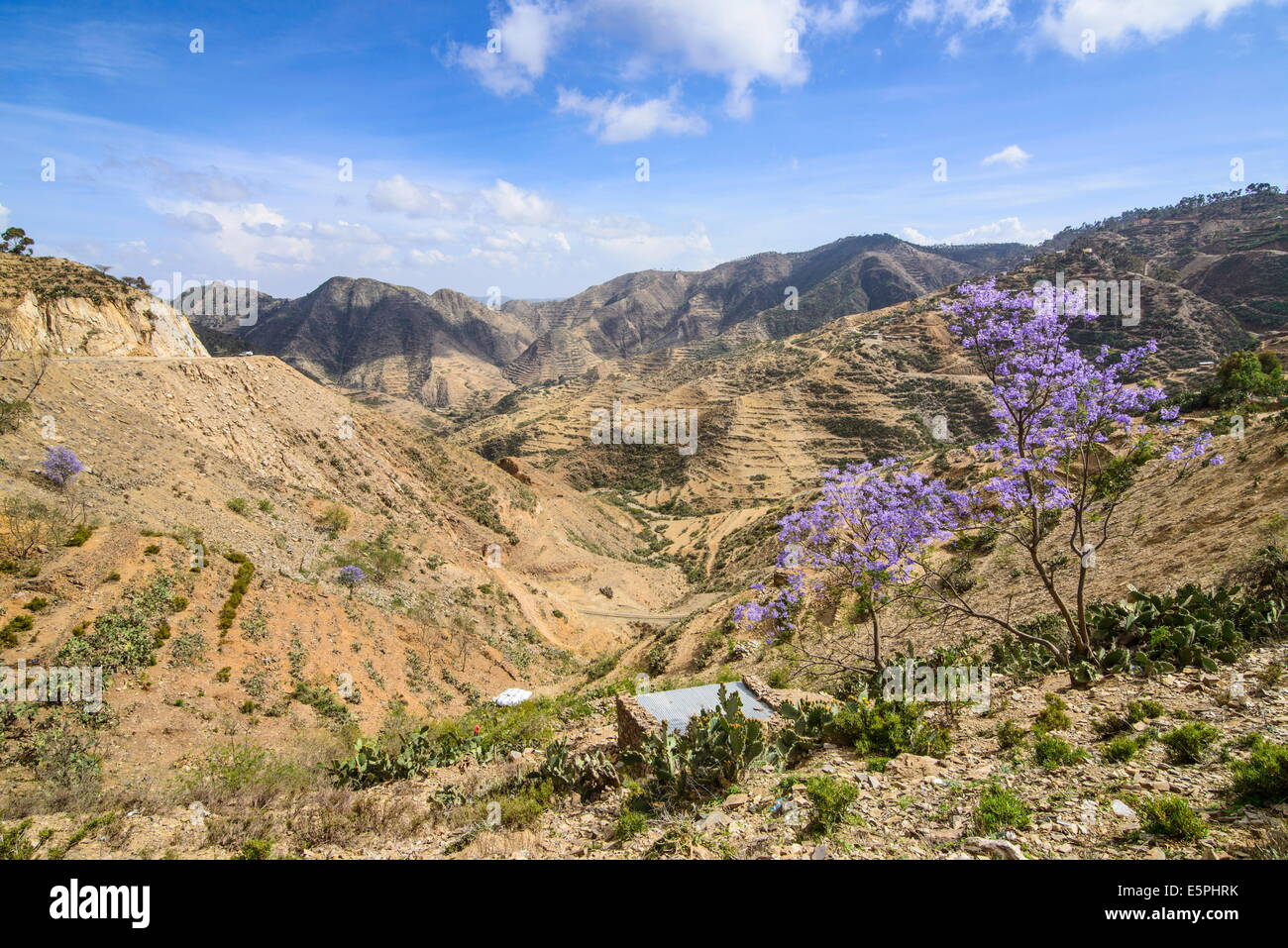 Paesaggio di montagna lungo la strada che da Massaua ad Asmara, Eritrea, Africa Foto Stock