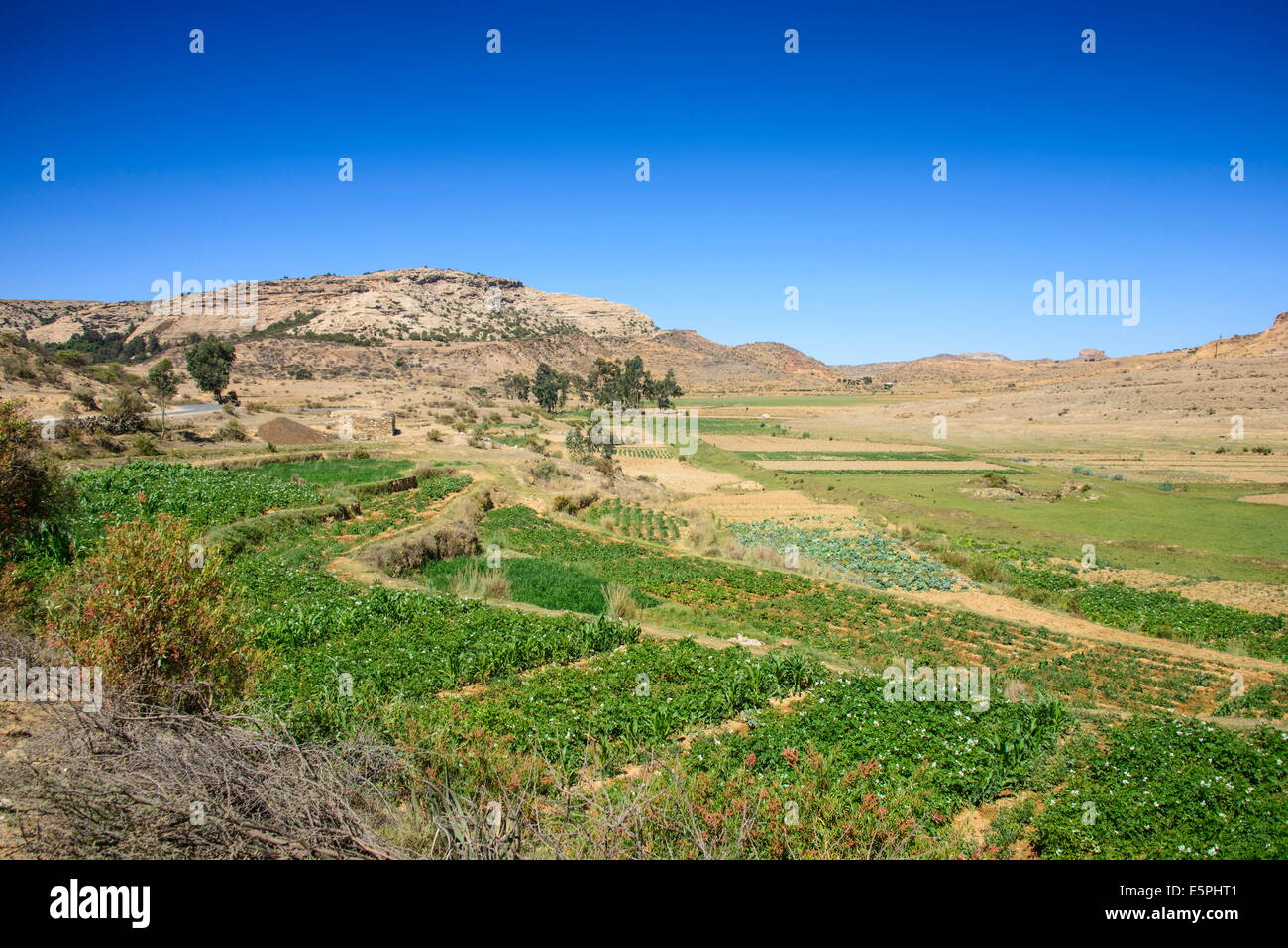 Paesaggio di montagna lungo la strada da Asmara a Qohaito, Eritrea, Africa Foto Stock