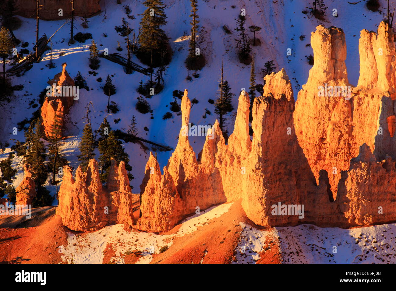 Hoodoos e neve illuminata da luce all'alba invernale, Queen's Garden Trail a Sunrise Point, Parco Nazionale di Bryce Canyon, Utah, Stati Uniti d'America Foto Stock