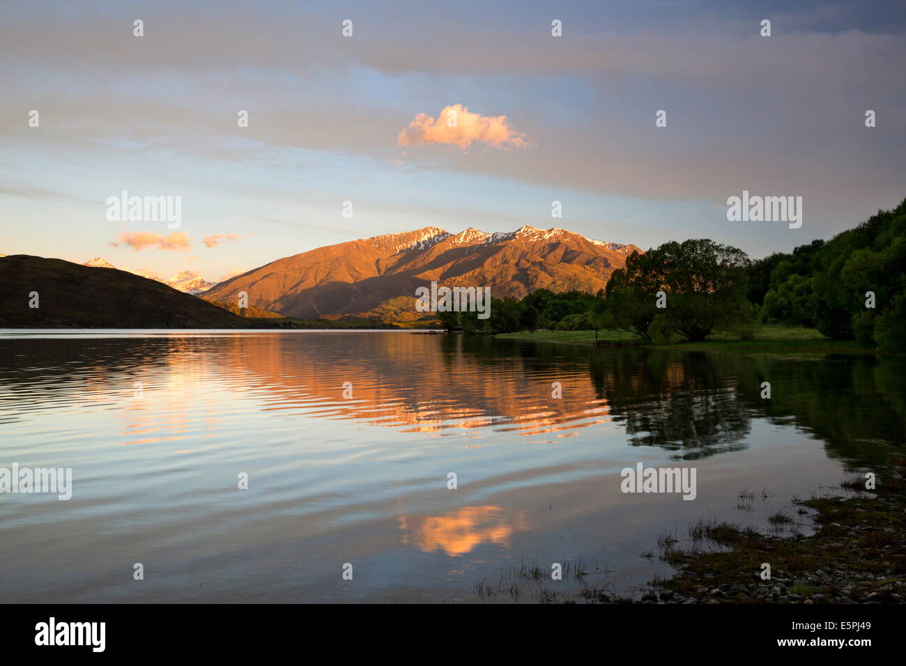 Sunrise over Glendhu Bay sul Lago Wanaka e Mount aspiranti, Wanaka, Otago, South Island, in Nuova Zelanda, Pacific Foto Stock