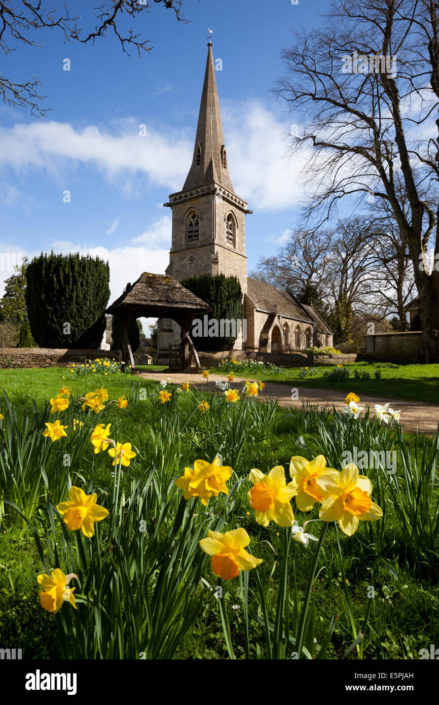La Chiesa Parrocchiale di Santa Maria con la molla narcisi, Lower Slaughter, Cotswolds, Gloucestershire, England, Regno Unito Foto Stock
