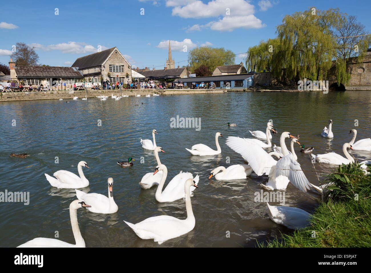 Il Riverside Pub sul Fiume Tamigi, Lechlade, Cotswolds, Gloucestershire, England, Regno Unito, Europa Foto Stock