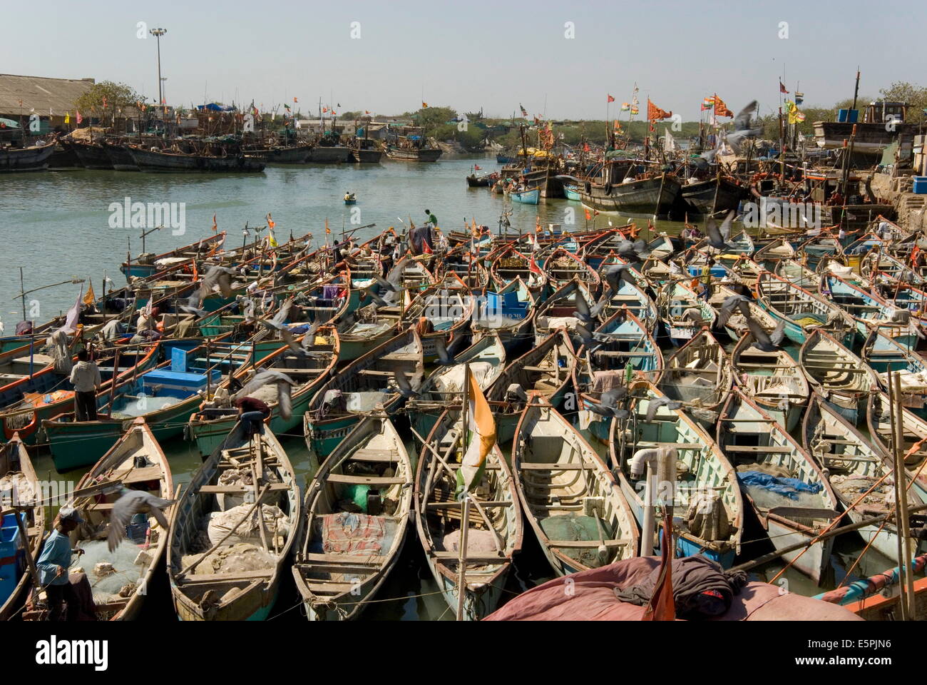 Fishing Boat Harbour, Porbander, Gujarat, India, Asia Foto Stock